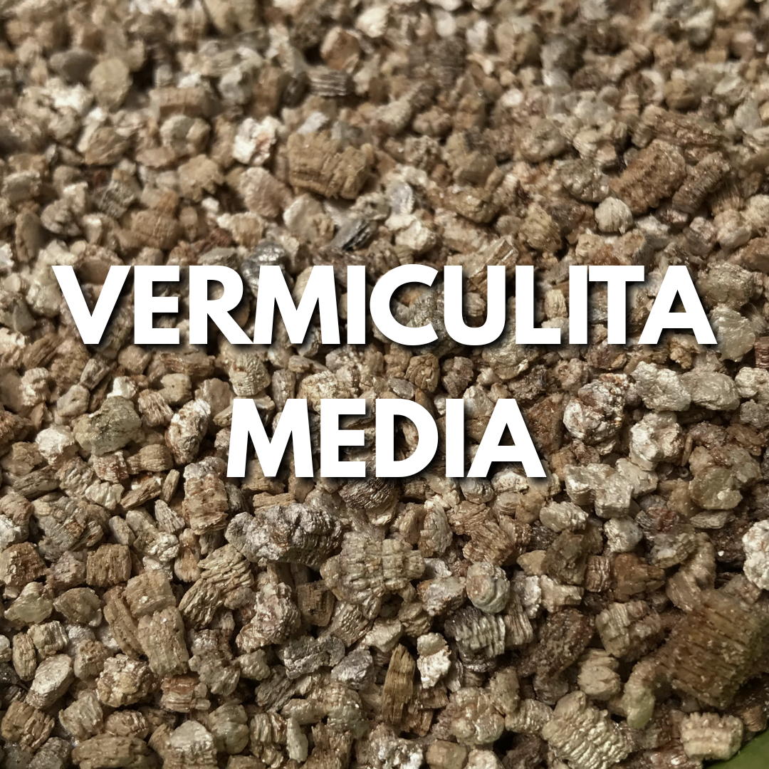 Vermiculita Media Premium Plantare