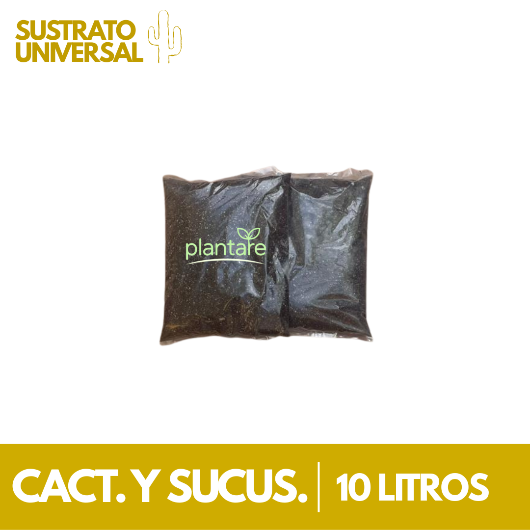 Sustrato Cactus y Suculentas Premium Mix
