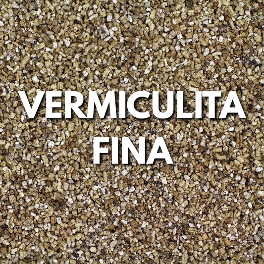 Vermiculita Fina Premium Plantare