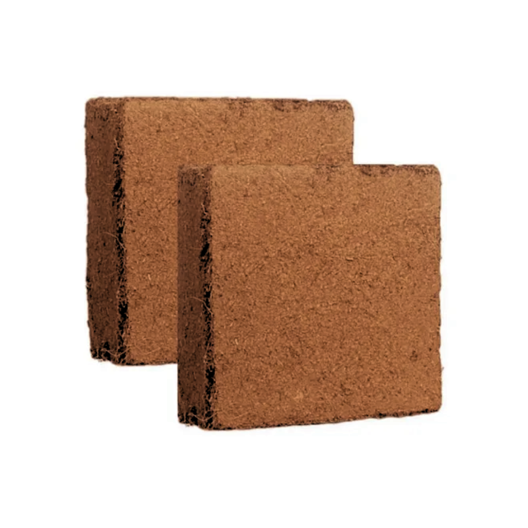 2 Bloques de Fibra de Coco