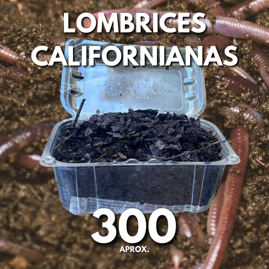 Nucleo De Lombrices Californianas 300 - 2500