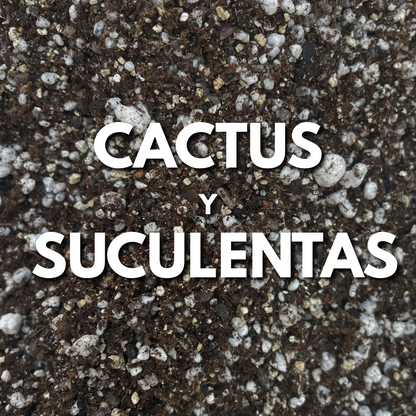 Sustrato Cactus y Suculentas Premium Mix