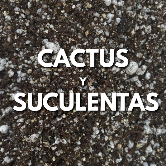 Sustrato Cactus y Suculentas Premium Mix