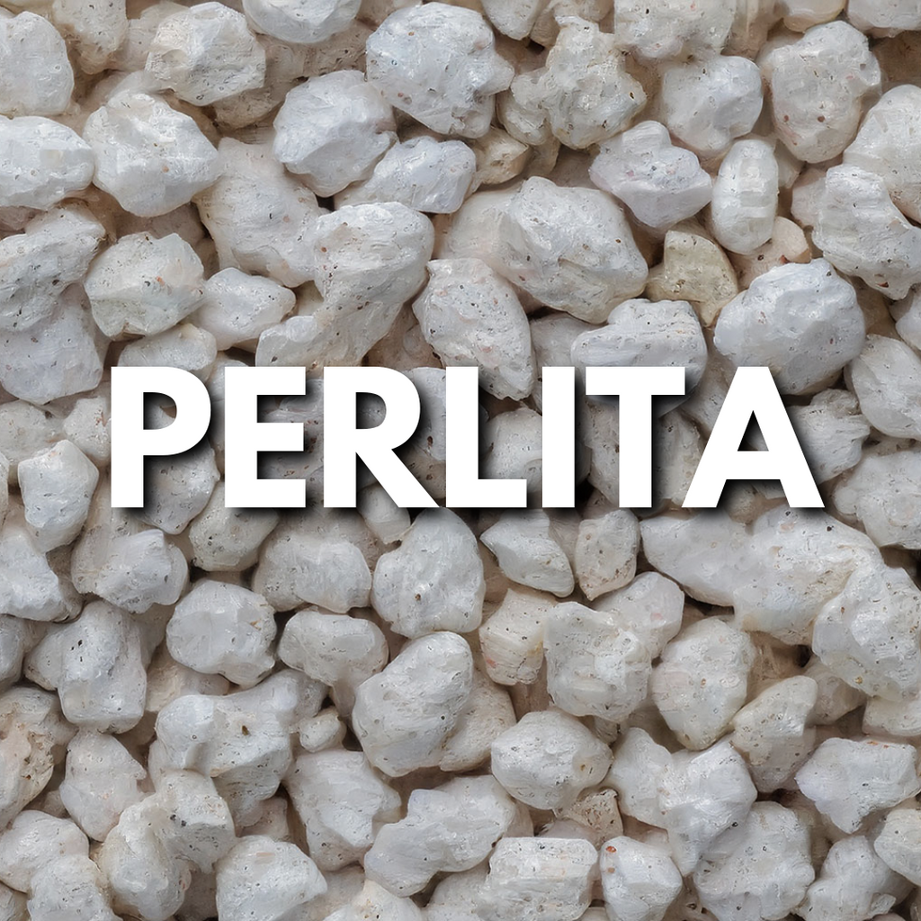 Perlita Expandida Premium Plantare