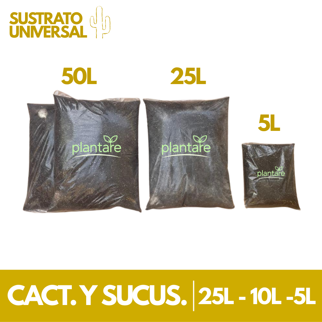 Sustrato Cactus y Suculentas Premium Mix