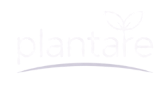 Plantare