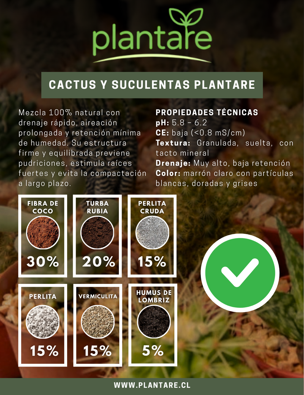 Sustrato Cactus y Suculentas Premium Mix